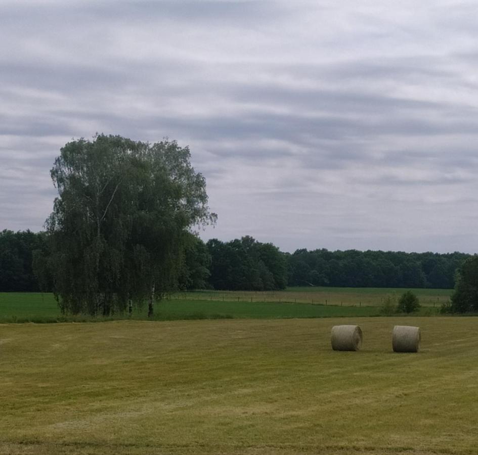 Ubytovani U Sobotku Třeboň Exteriör bild